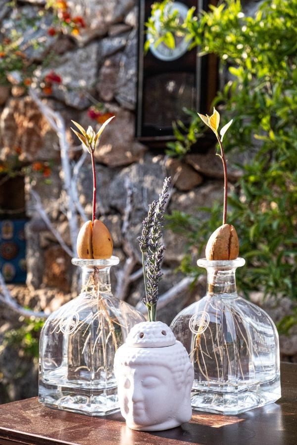 Casa Di Pietra Hotel Fethiye Ngoại thất bức ảnh